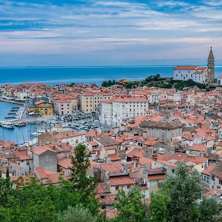 Апартаменты Vista *